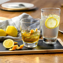 Bormioli Rocco Double Whisky Rocks Glass