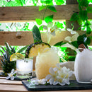 280ml Barglass Whisky Glasses - Pack of Six